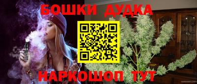 прущие крисы Будённовск