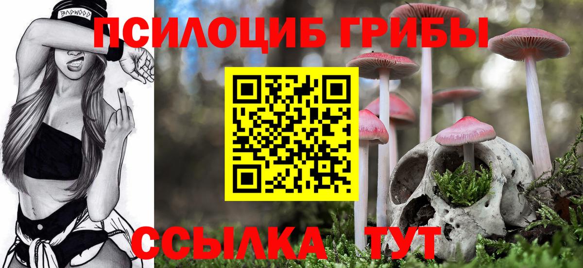 Галлюциногенные грибы прущие грибы  Вход с VPN  Галлюциногенные грибы ЛСД  Чехов 